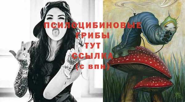 не бодяженный Корсаков