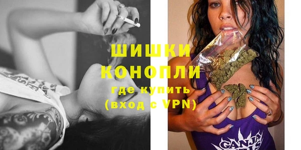 дживик Мещовск